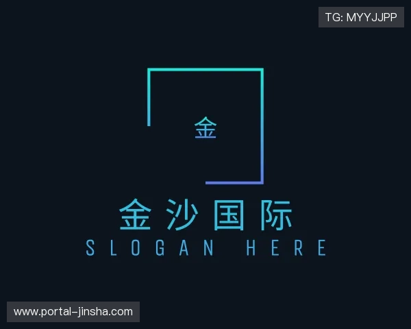 解读金沙国际公司